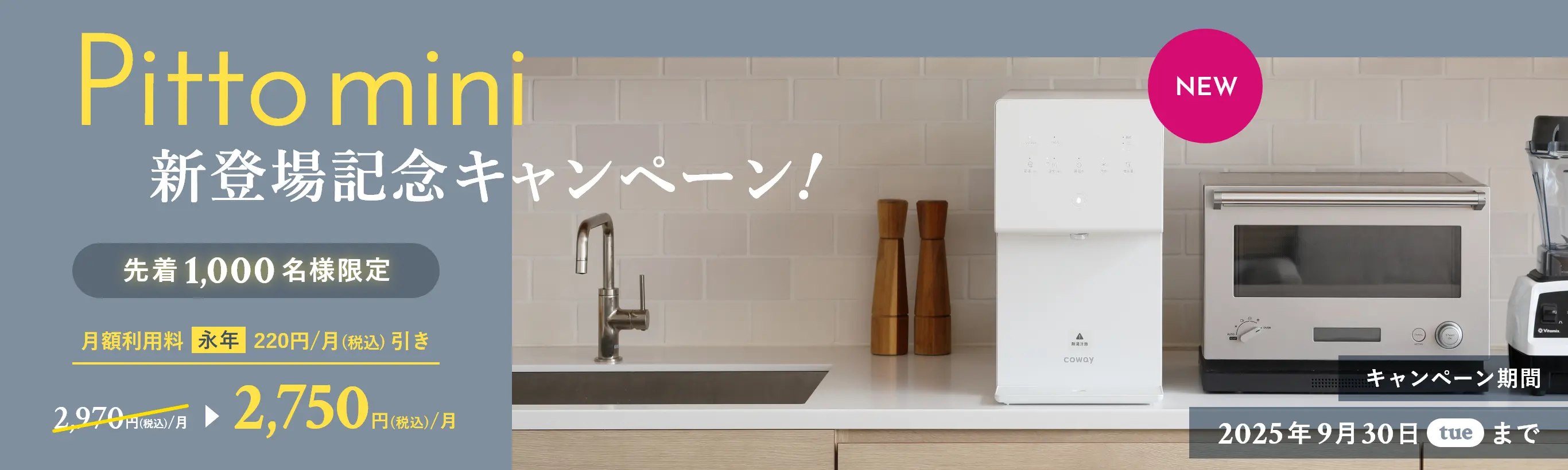Pittomini 新登場キャンペーン