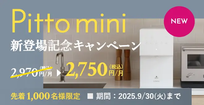 Pitto mini新登場記念キャンペーン！