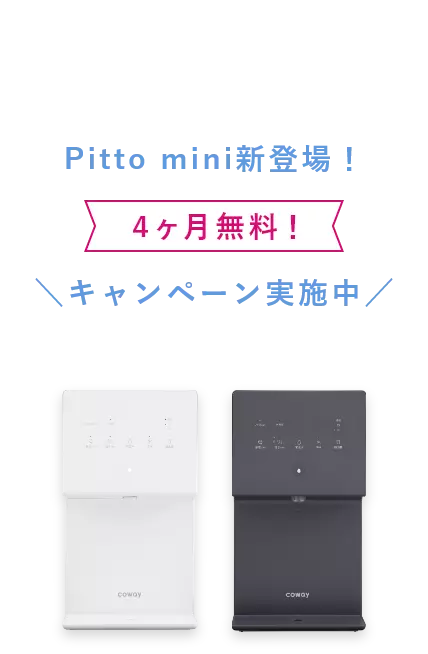 Pitto画像