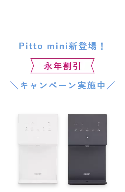 Pitto画像