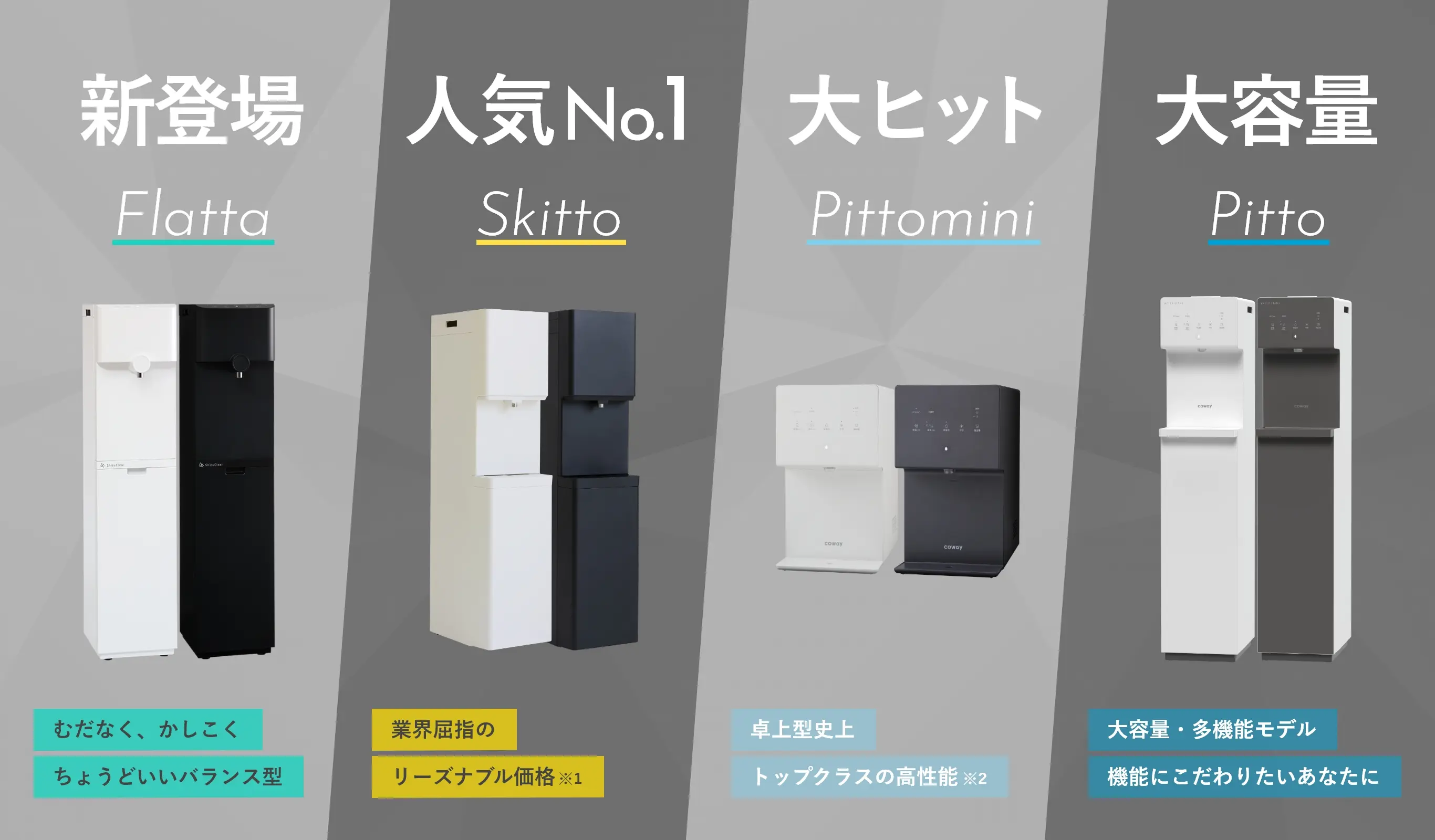 新登場 Flatta、人気No.1 Skitto、大ヒット Pittomini、大容量 Pitto
