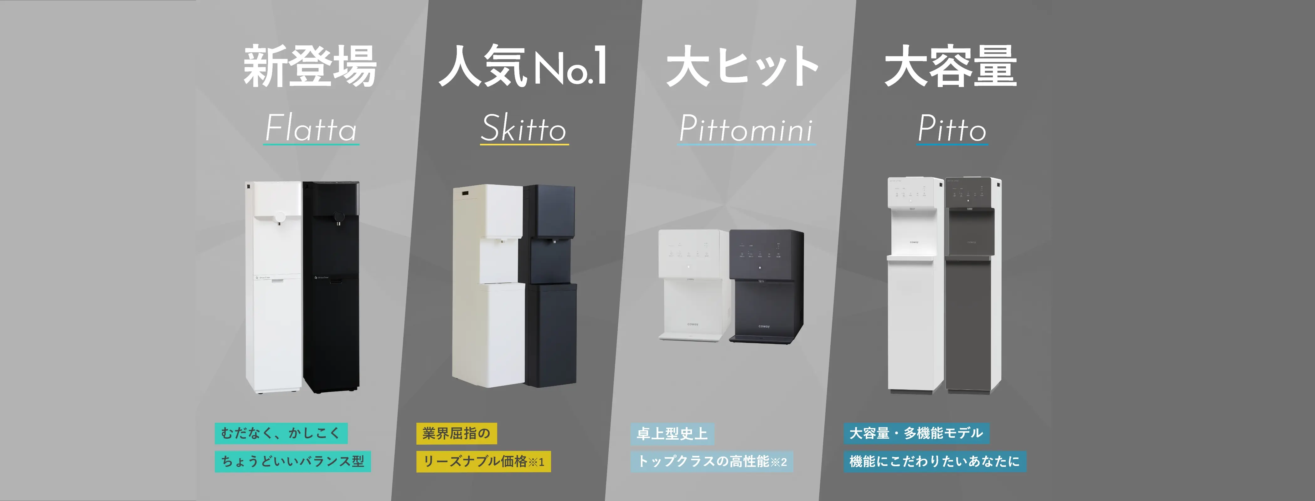 新登場 Flatta、人気No.1 Skitto、大ヒット Pittomini、大容量 Pitto
