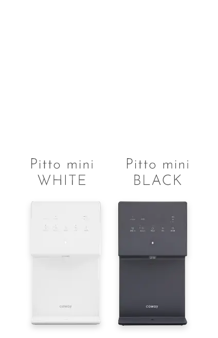 Pittomini WHITE BLACK