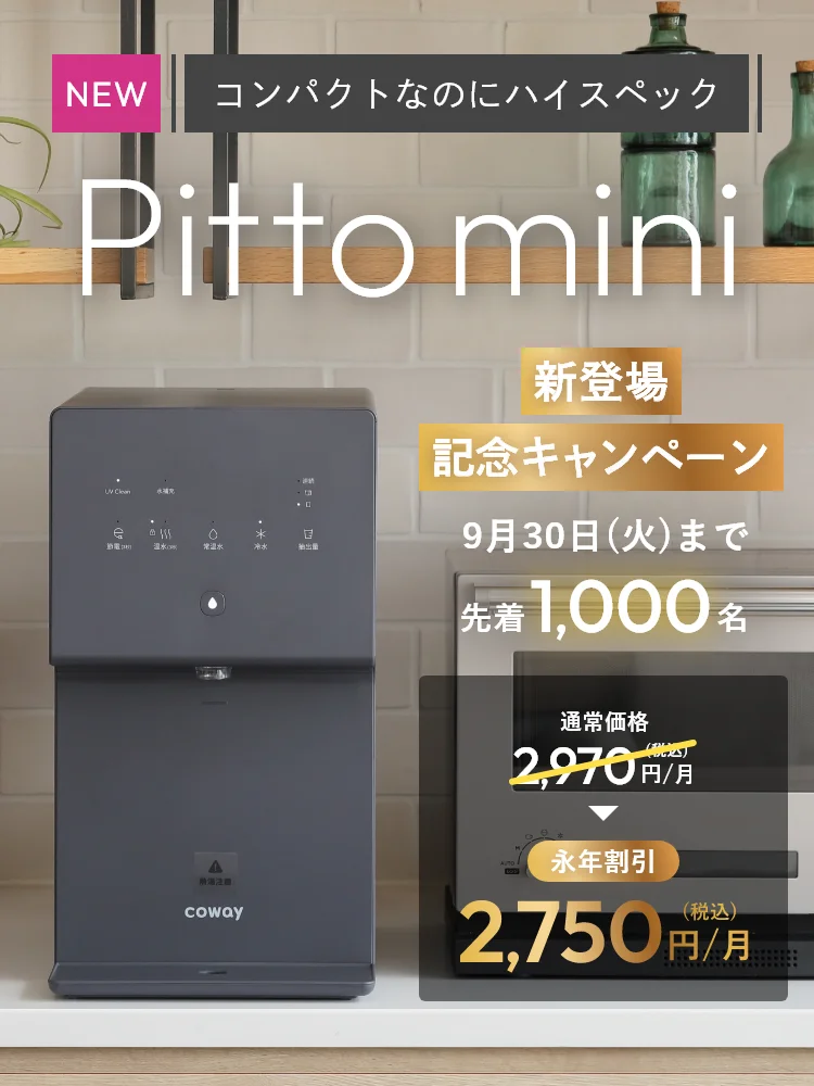 Pittomini新登場記念キャンペーン 9月30日（火）先着1,000名 通常価格2,970円→永年割引2,750円