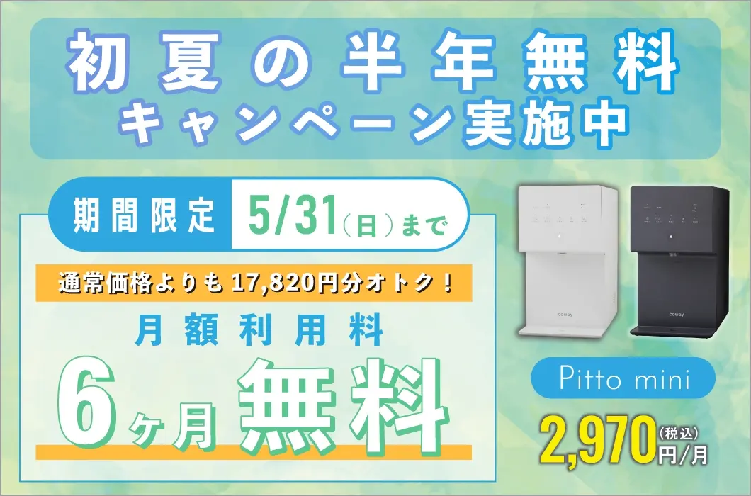初夏の半年無料キャンペーン