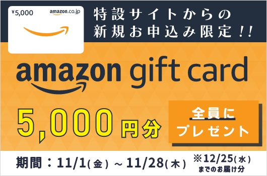 特設サイト限定 Amazonギフトカード 5,000円分プレゼント