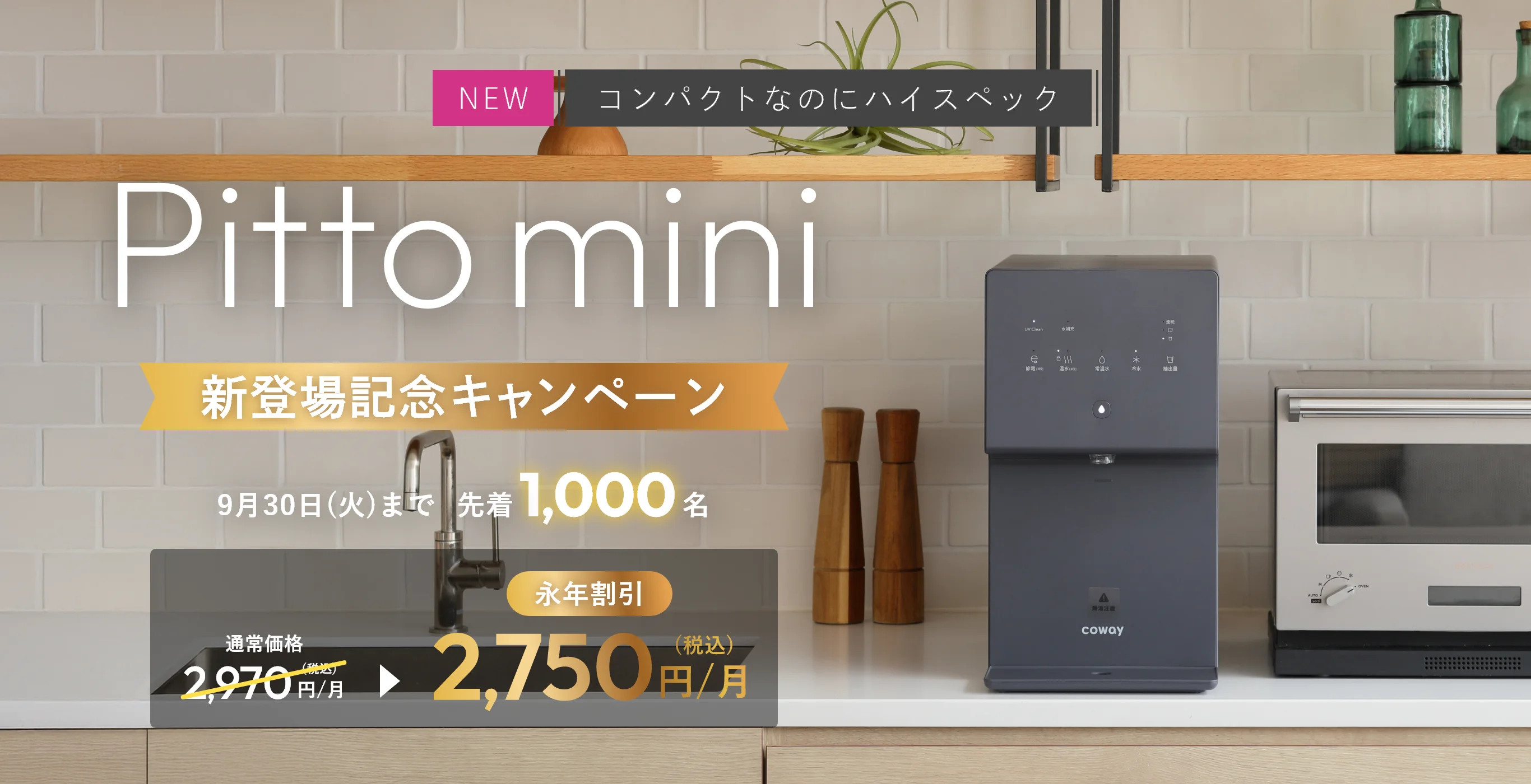 Pittomini新登場記念キャンペーン 9月30日（火）先着1,000名 通常価格2,970円→永年割引2,750円
