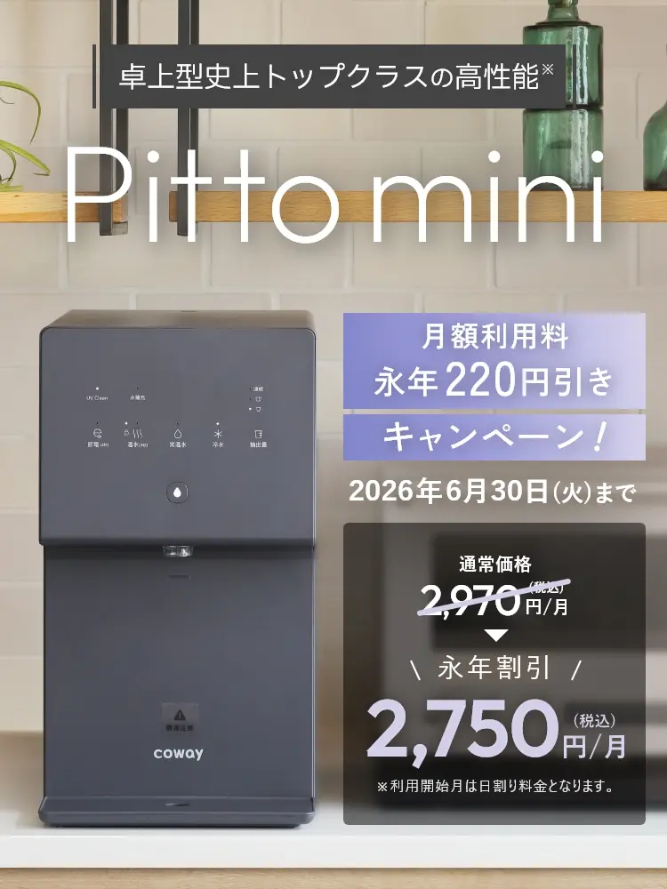 Pitto mini 月額利用料 永年220円引きキャンペーン！2026年6月30日（火）まで 月額利用料永年割引 通常価格2,970円→2,750円