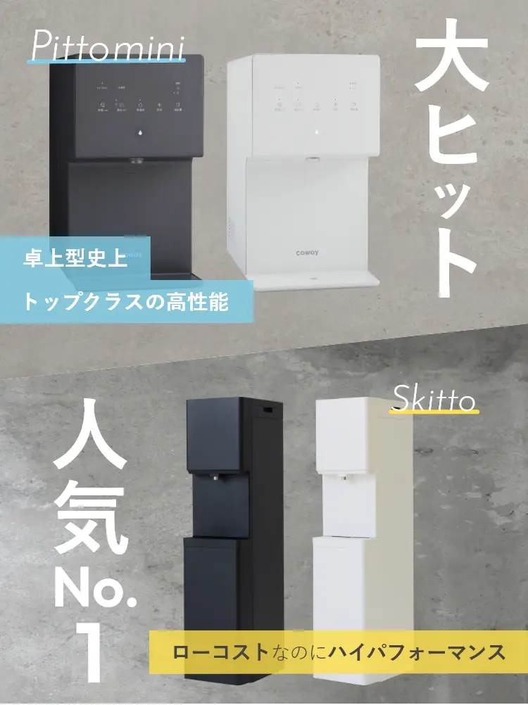 大ヒットPittomini 卓上型史上トップクラスの高性能 人気No.1 Skitto ローコストなのにハイパフォーマンス