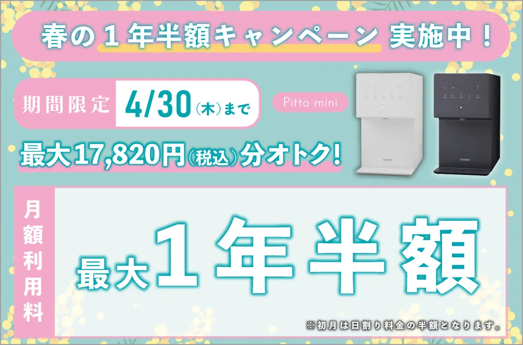 春の1年半額キャンペーン
